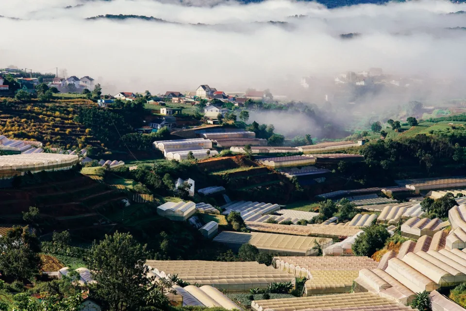 Hình ảnh tại Trần Văn Thạnh 78 2