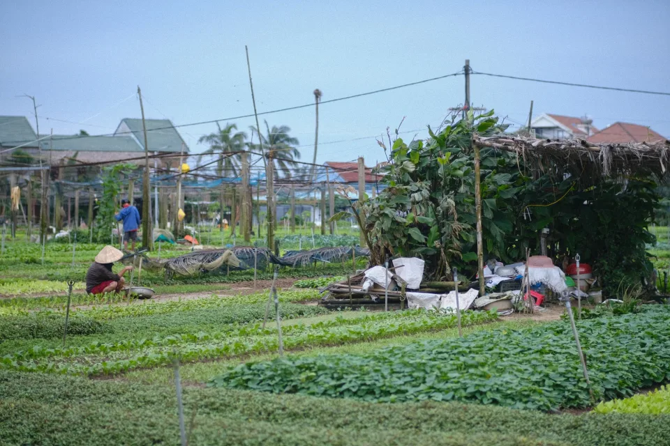 Tại Trần Văn Thạnh 78