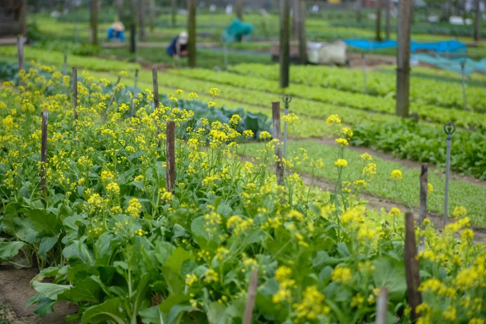 Hình ảnh tại Trần Văn Thạnh 78 4